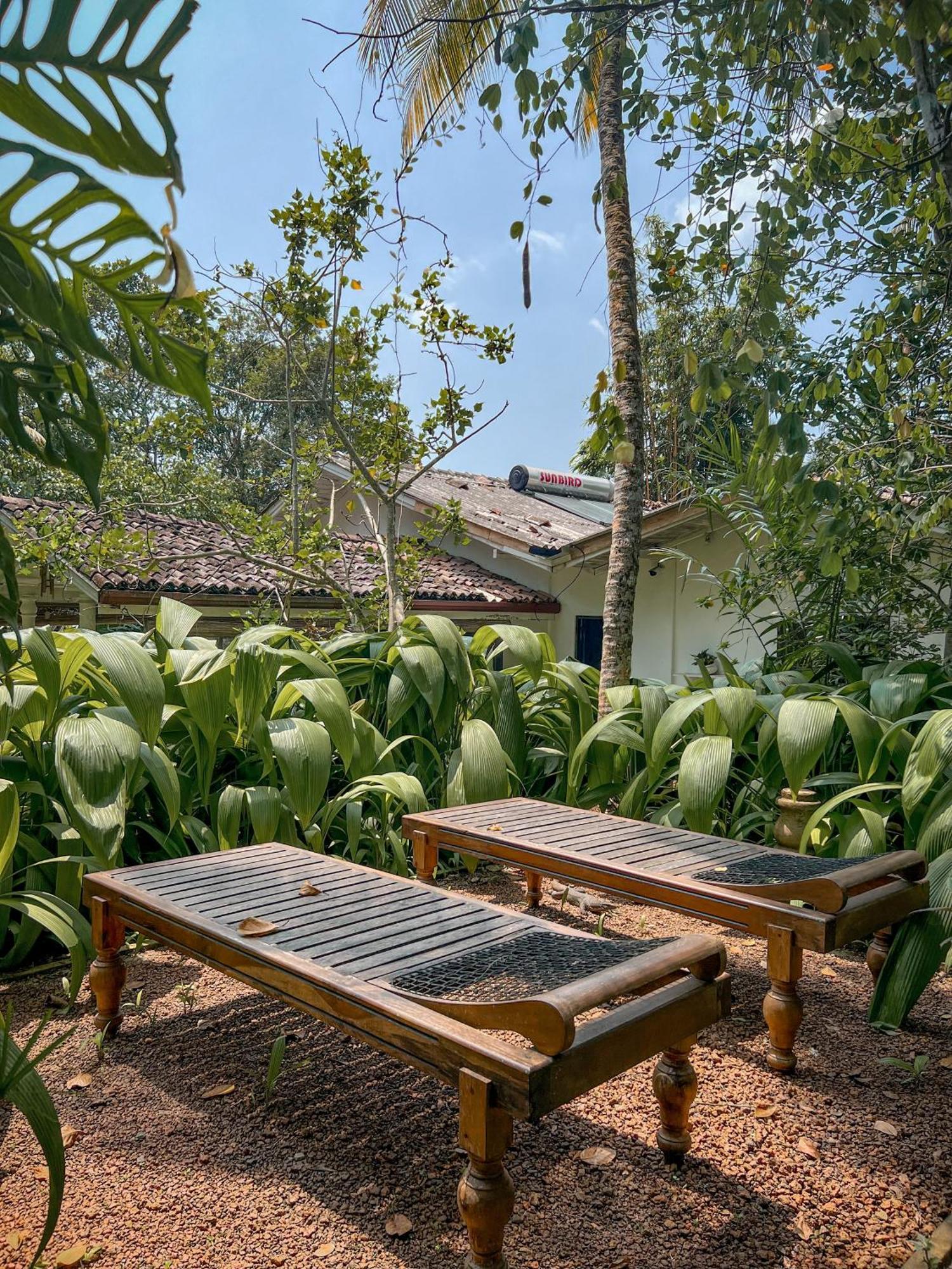 Medusa Bungalow - Galle Exteriér fotografie