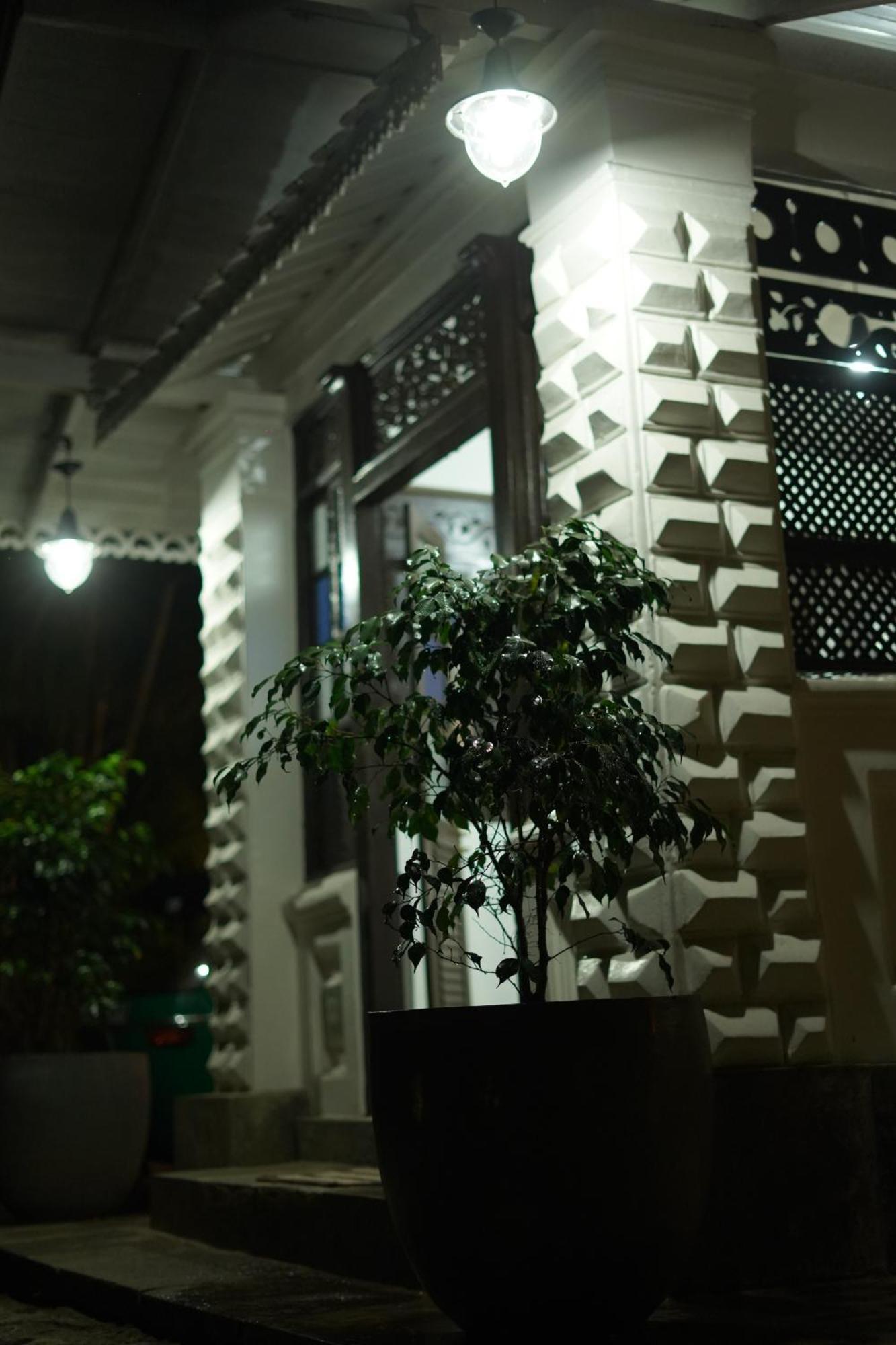 Medusa Bungalow - Galle Exteriér fotografie